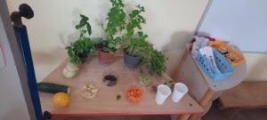 Na stoliku stoją zioła w doniczkach, owoce, warzywa oraz kubeczki z wodą z solą i wodą z cukrem 