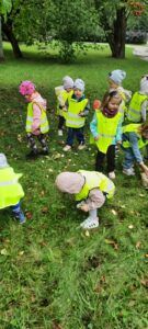 Grupa dzieci szuka kasztanów na trawniku. 