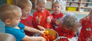 Grupa dzieci oglądające różne odmiany pomidorów.