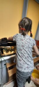 Dziewczynka karmiąca rybki w akwarium.