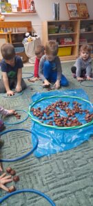 Na dywanie  w obręczach leżą dary jesienne( kasztany, żołędzie szyszki). Dzieci segregują ze względu na cechę i przeliczają.