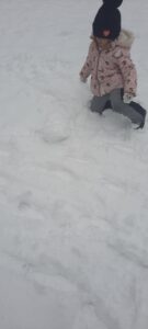 Dziewczynka toczy kule śnieżną 
