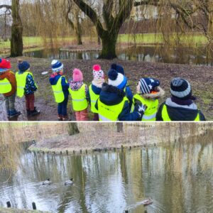 Zdjęcie pierwsze: Grupa dzieci w parku przy stawie, obserwuje zachowanie kaczek. Zdjęcie drugie: Kaczki pływające w stawie.