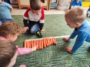 Grupa dzieci porównująca długości marchewek.