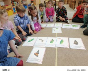 Dzieci siedzące na dywanie poznają z wykorzystaniem plansz edukacyjnych cykl rozwojowy żaby oraz motyla