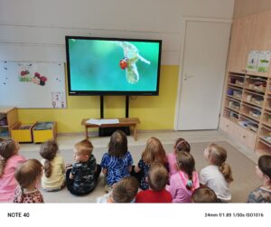 Dzieci siedzące na dywanie , oglądające film edukacyjny o życiu biedronek